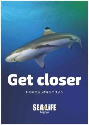 シーライフ名古屋 で夏の自由研究 いのちのふしぎを見つけよう をテーマにしたイベント Summer Discovery In Sea Life Nagoya レゴランド ジャパン株式会社のプレスリリース シーライフ名古屋 で夏の自由研究 いのちのふしぎを見つけよう をテーマにしたイベント Summer Discovery In Sea Life Nagoya レゴランド ジャパン株式会社のプレスリリース