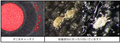 逃れられない安心設計