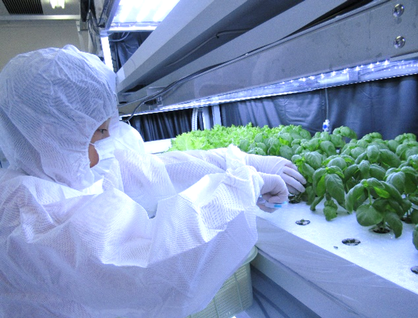 小学生が明治大学の植物工場で農業の未来について学ぶ！
「植物工場でやさいを育ててみよう～体験型学習講座～」