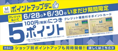 ポイントアップ