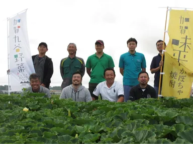 味平かぼちゃを作っている 農家さん