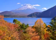 【星のや富士】本栖湖の紅葉と富士山