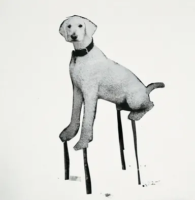 Drawing paper,Printing paper 2019