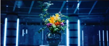 そして“自然”へ