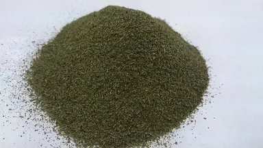 ミントの葉（粉砕後）