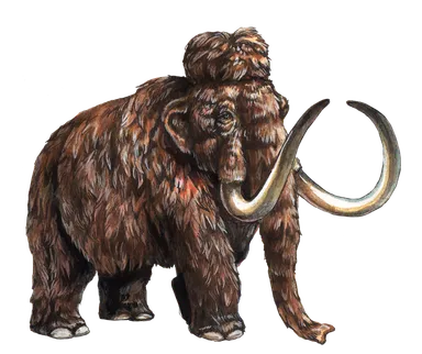 ケナガマンモス