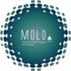 Mold Foundation Ltd.のロゴ