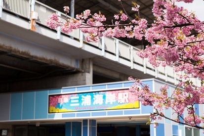 河津桜が有名な三浦海岸駅