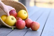 【星のや軽井沢】りんごの収穫体験