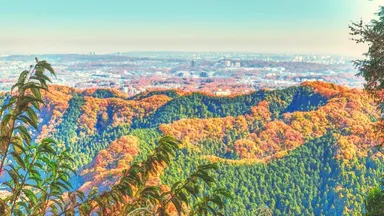 ハイキングを楽しめる旅行先