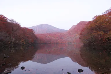 【奥入瀬渓流ホテル】赤沼午前5時頃