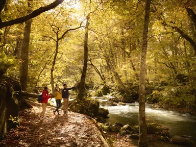 【奥入瀬渓流ホテル】早朝紅葉ガイドツアー（1）