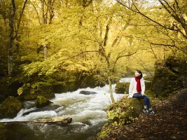 【奥入瀬渓流ホテル】早朝紅葉ガイドツアー（6）