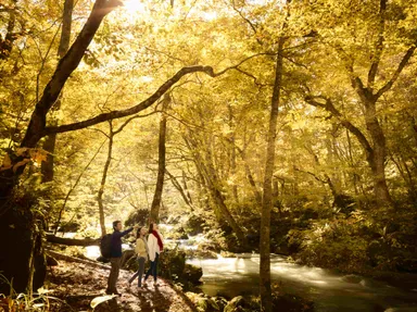 【奥入瀬渓流ホテル】奥入瀬ガイドウォーク_秋