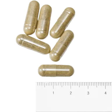 エキナセアファミリーサイズ粒画像