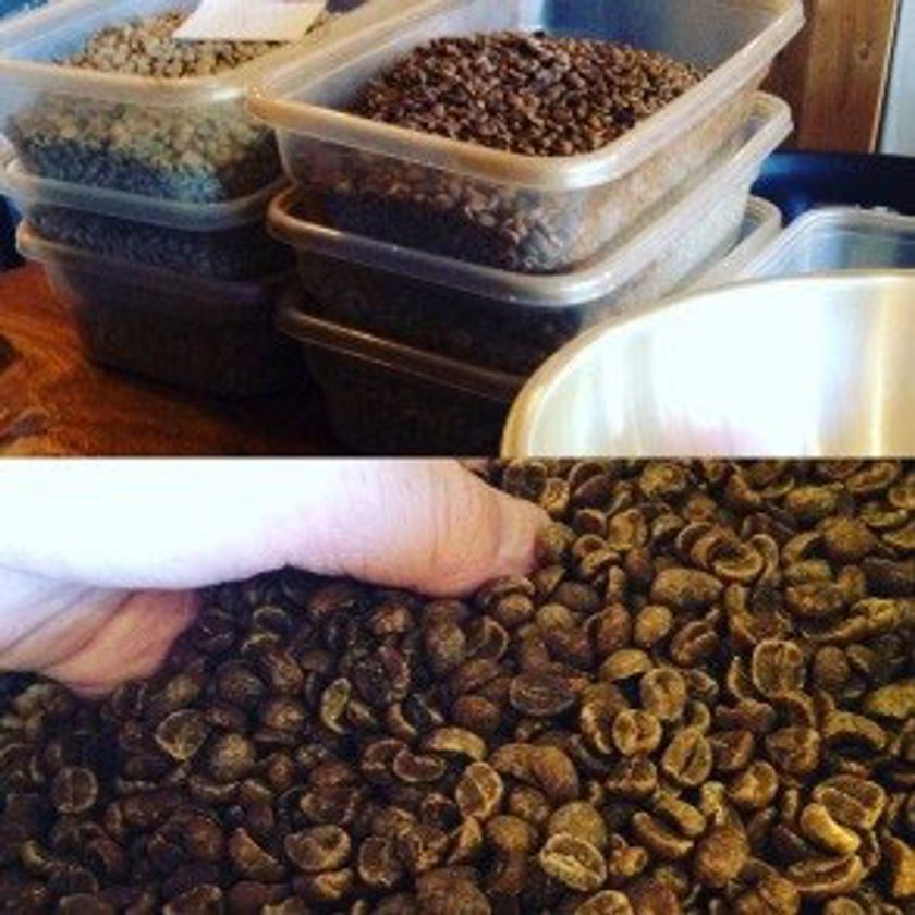 六甲オルゴールミュージアム 秋のミュージアムガーデンで楽しむ
「手網珈琲焙煎ワークショップ」を初開催
～世界でひとつのオリジナルブレンドをつくろう～