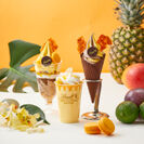 リンツ、夏限定のソフトクリームショコラ第3弾　盛夏を代表するフルーツの「トロピカル」フレーバーが新登場　ドリンクやパフェも、8月1日新発売