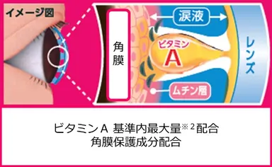 スマイルザメディカル A コンタクト 商品特長