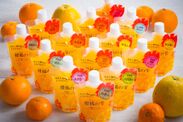 愛媛産柑橘の果汁をふんだんに使用したとろけるゼリー　夏季限定で全12種類のセットが登場！