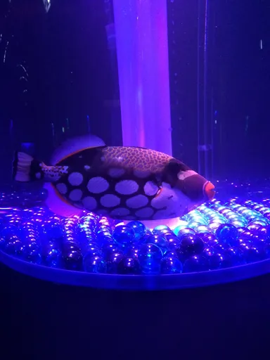 会場内イメージ3