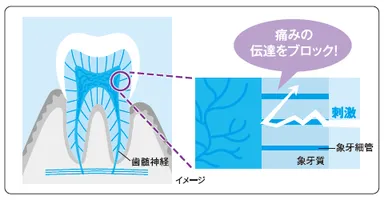 イオンバリア成分