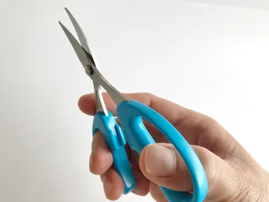 携帯しやすいサイズ