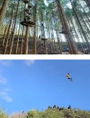 六甲山カンツリーハウス「フォレストアドベンチャー・神戸六甲山」