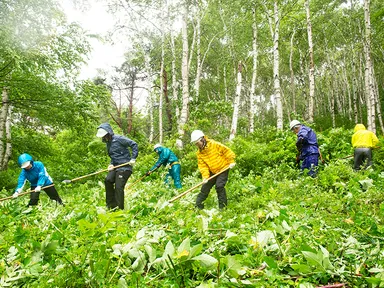 森林整備 4