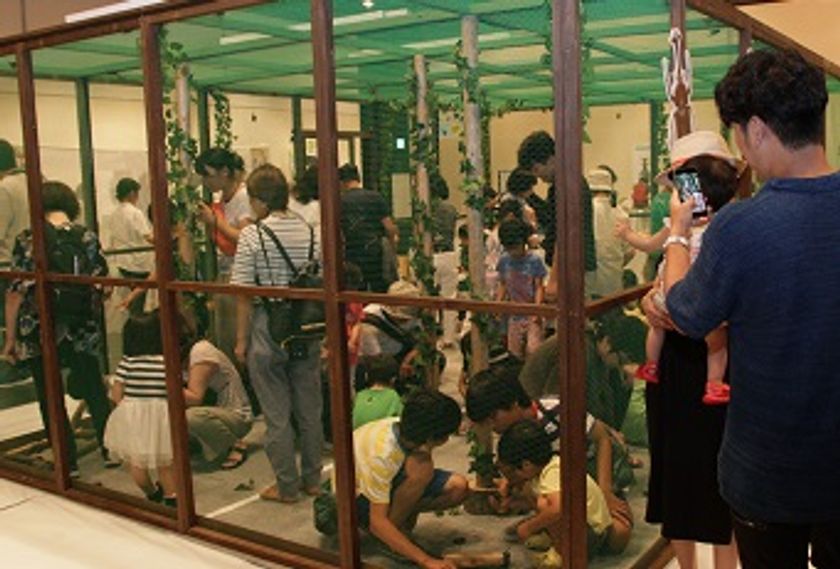 【あべのハルカス近鉄本店】
世界の昆虫展　