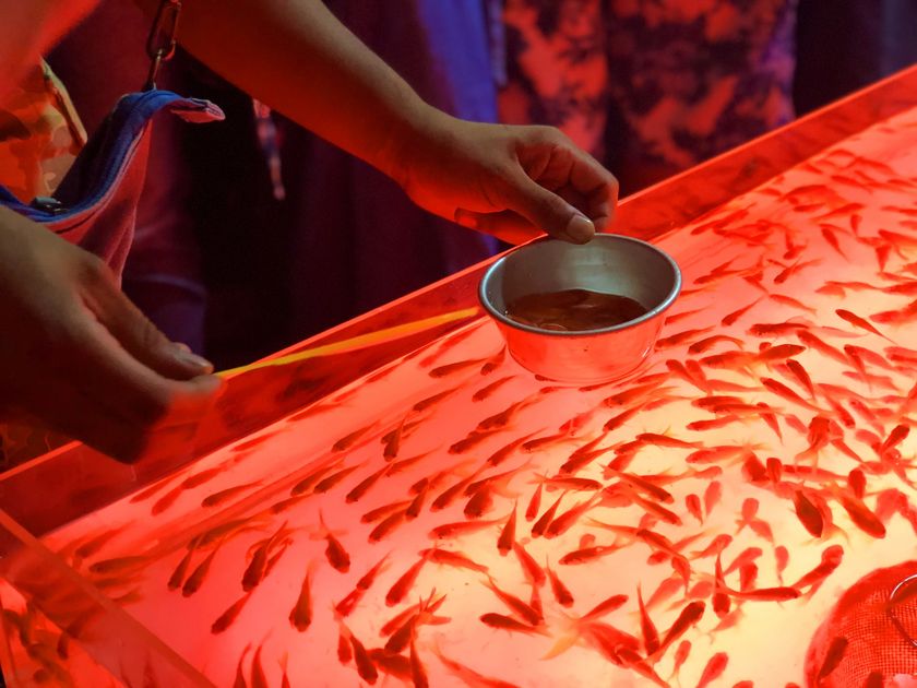 自由で新しい御堂筋の姿を目指す
御堂筋天国プロジェクト第2弾
大人も子供も楽しめる「御堂筋天国夏まつり」初開催！