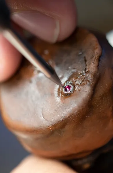 秋の蓮の花心のひとつルビー