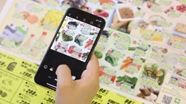 チラシ画像からの検索(イメージ)