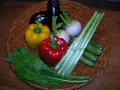 旬野菜達の溶岩焼も