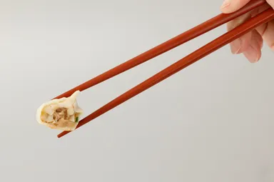 メディア出演多数！食のプロも絶賛する絶品タケノコを使用した贅沢餃子(3)