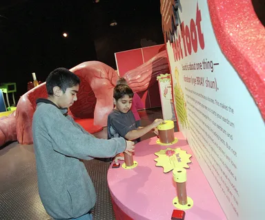 ブー！プー！スー！