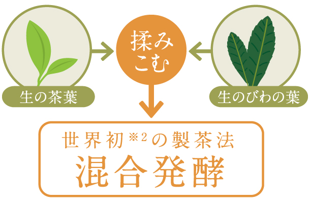 内臓脂肪(おなかの脂肪)を減らす機能性表示食品『びわの葉入り