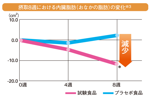 内臓脂肪(おなかの脂肪)を減らす機能性表示食品『びわの葉入り