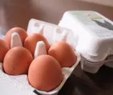 地鶏の卵