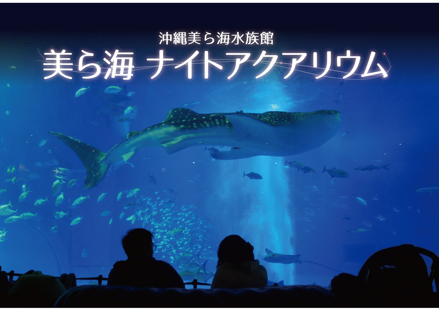 海 水族館 ら 美 美ら海水族館バス │