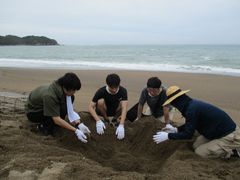 ライオンの生物多様性保全活動への取り組み　和歌山県みなべ町で、10年目を迎える「アカウミガメ」の保護活動を実施