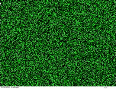 図3 ペルフルオロポリフェニレン膜の元素マッピング(緑色：フッ素)