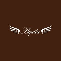 合同会社Aquila(アークイラ)