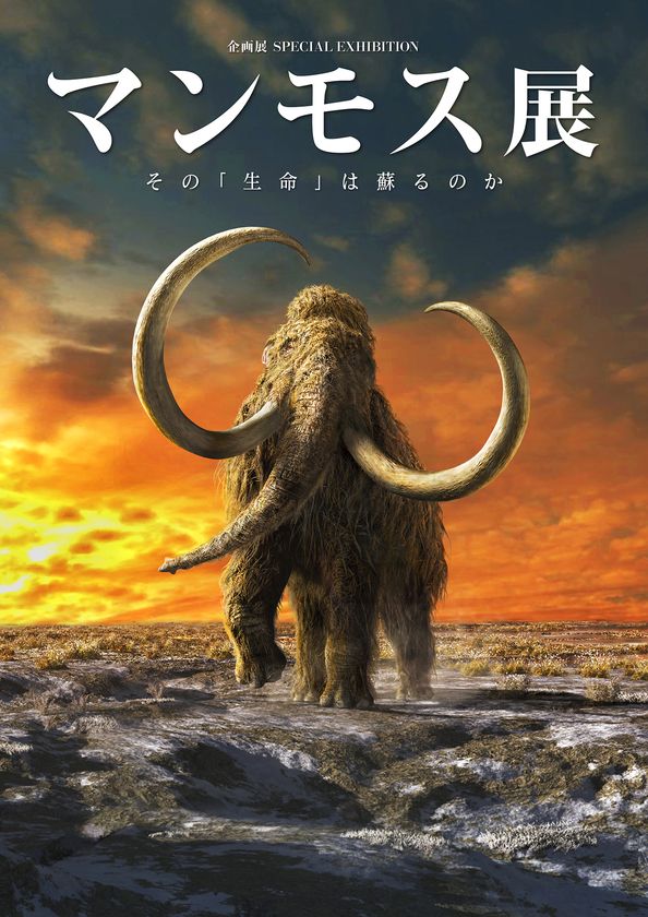 大反響、開催中！
企画展「マンモス展」
公式イラストキャラクター募集！