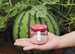 能登すいかがプリンに！薄ピンク色でサッパリ食感を再現　糖度11度以上のすいかを使用し、別添の天然塩で夏らしい食べ方も