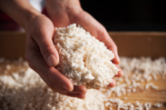 「飲む点滴」と言われるほど栄養価の高い日本の伝統発酵食材「米こうじ」を使用