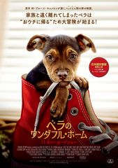 「僕のワンダフル・ライフ」原作者が手掛ける愛の物語映画『ベラのワンダフル・ホーム』11月8日に劇場公開決定　ポスタービジュアル、予告編、公式HP、吹替キャストも解禁！