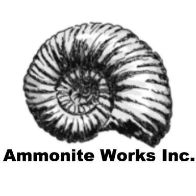 アンモナイトワークス(運営会社)