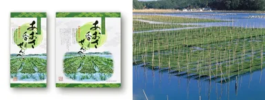 あおさ香りせんべい