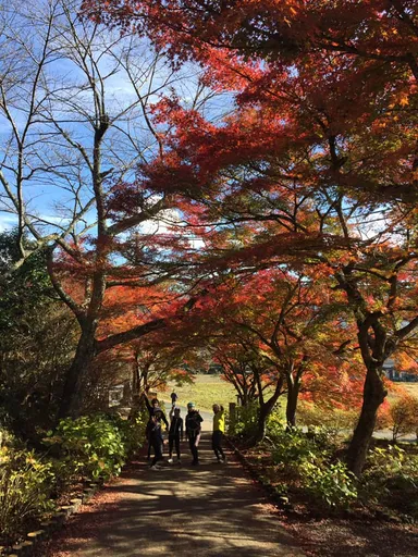 丹波秋ライド(1)