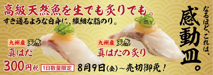 夏の今が旬の高級魚！九州産天然真はたがスシローに登場！
『真はた』 300円（＋税）
～一生に一度は味わいたい贅沢な逸品を驚きの価格でご提供～
